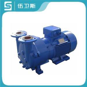 2BV系列水環(huán)式真空泵