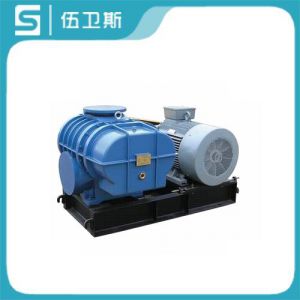 羅茨鼓風(fēng)機(jī)