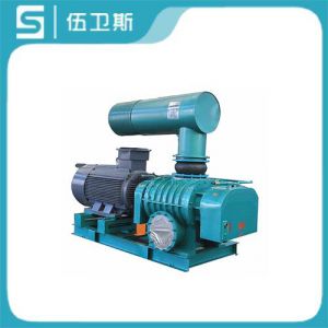 高壓羅茨鼓風(fēng)機(jī)