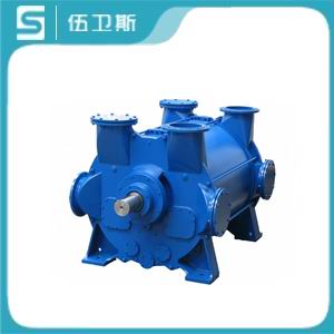 2BE系列水環(huán)真空泵-1.jpg