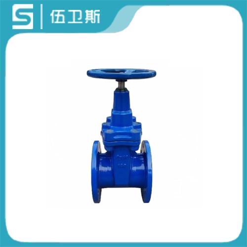 球墨鑄鐵閘閥.jpg